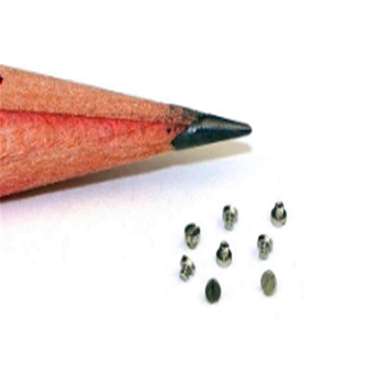 Høj præcision m0,8 (m0,6-m2 tilgængelig) mikro mini miniature skrue til elektronik