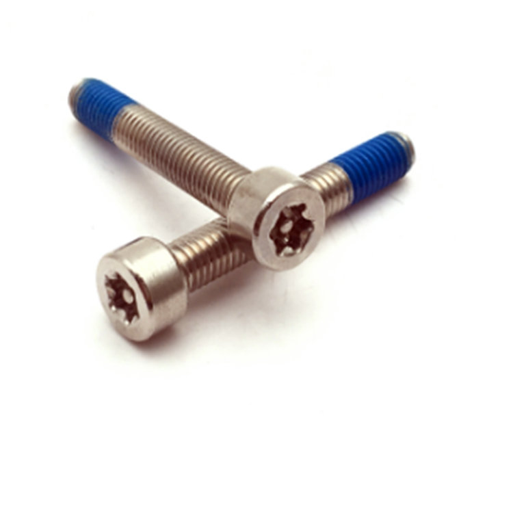 M5 ISO14579 rustfrit stål 304 nylonbelagt torx fix låsebolt