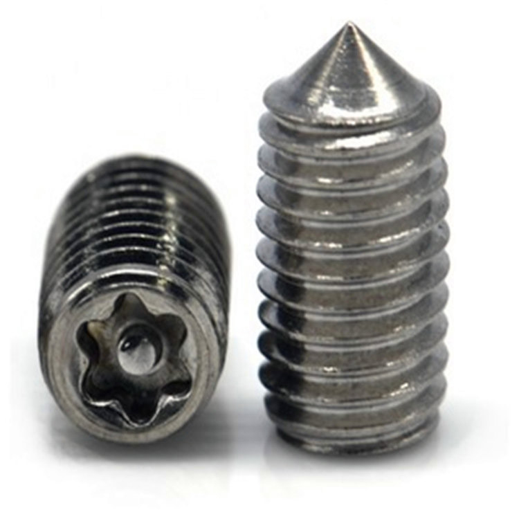 Rustfrit stål 316 M8 torx stift sætskrue med keglespids