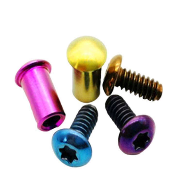 Titanium legering chicago skrue