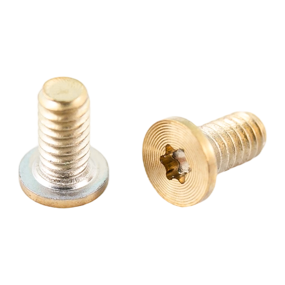 Guld PVD torx hoved rustfrit stål maskingevind CD mønster skruer